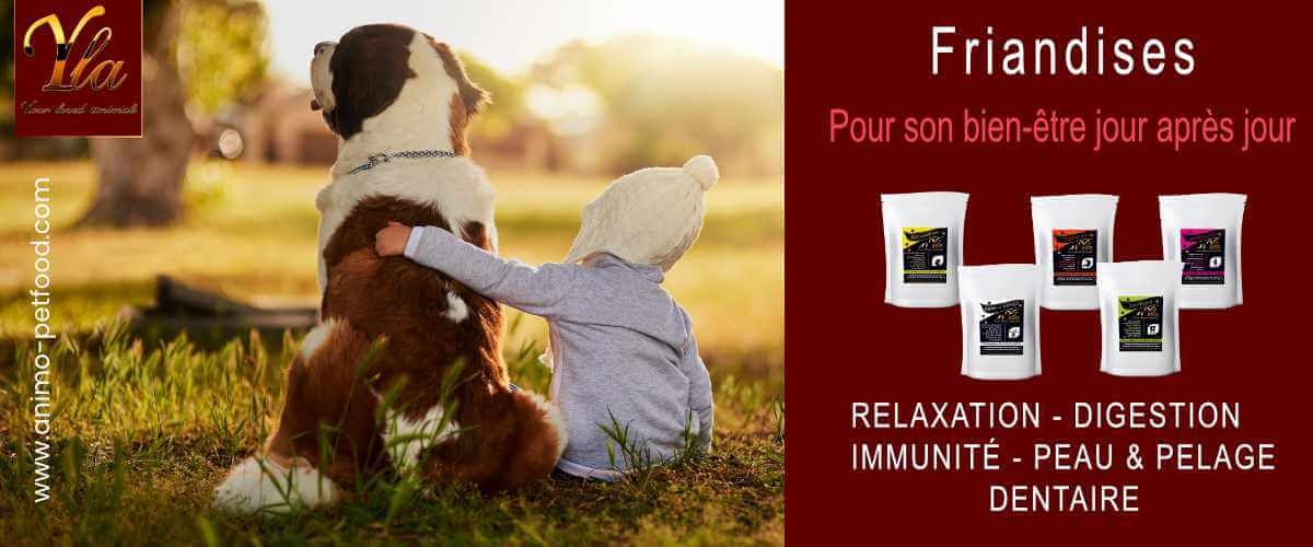 friandises-pour-chien-sans-cereales-ni-gluten